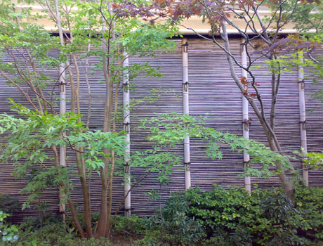 25 江戸川の庭 02