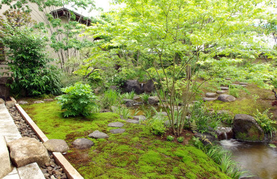 28 新小岩の庭 04