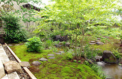 28 新小岩の庭 04