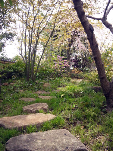 33 新小岩の庭 05