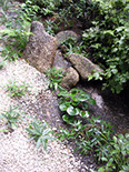 40 茗荷谷の庭 03