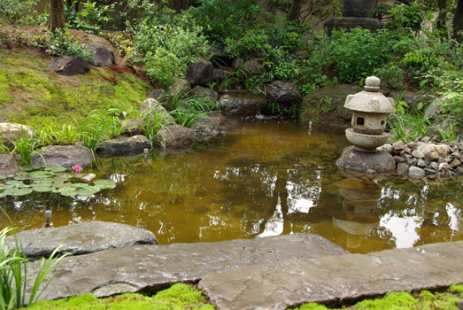 42 新小岩の庭 06