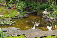 42 新小岩の庭 06
