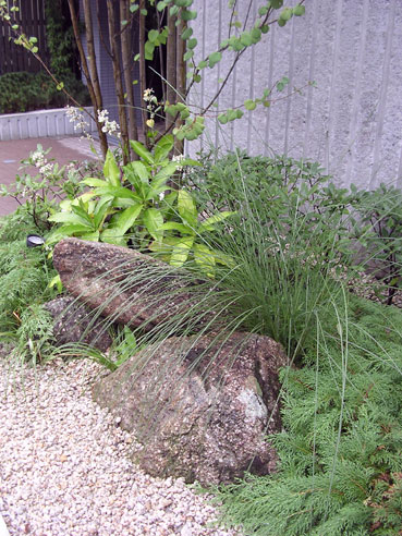 48 茗荷谷の庭 04