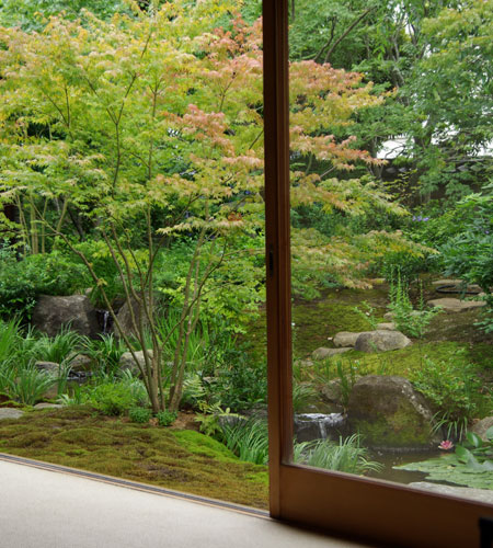 52 新小岩の庭 07