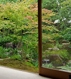 52 新小岩の庭 07