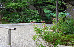 59 新小岩の庭 09