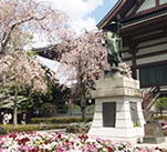 花壇